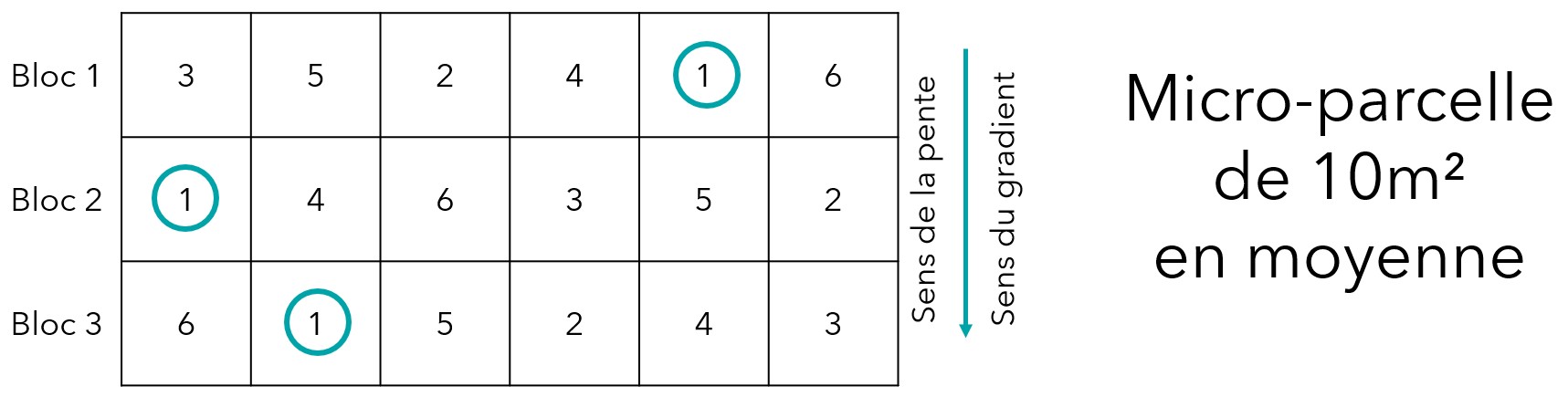 Représentation schématique d’un essai analytique