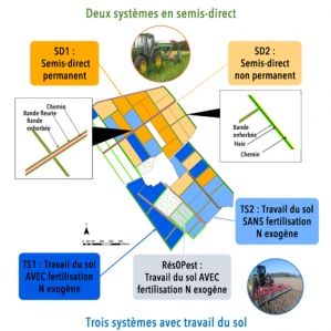 Plan de la plateforme CA-SYS