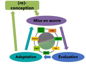 Représentation schématique de la boucle d’apprentissage utilisée pour concevoir, évaluer et faire évoluer les systèmes expérimentés.
